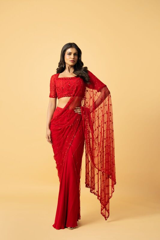 Red soft net and georgette saree with intricate hand embroidery.