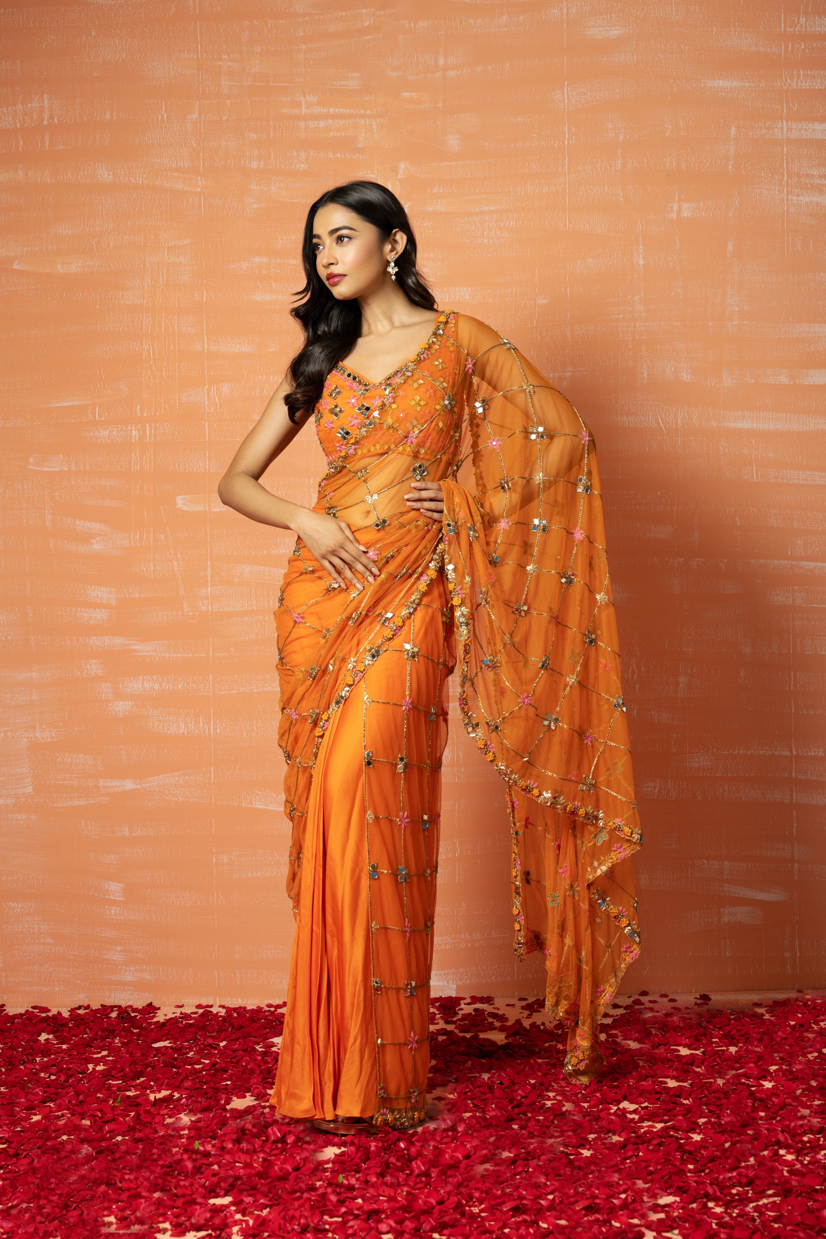 Elegant orange saree in soft net and georgette with intricate hand embroidery.