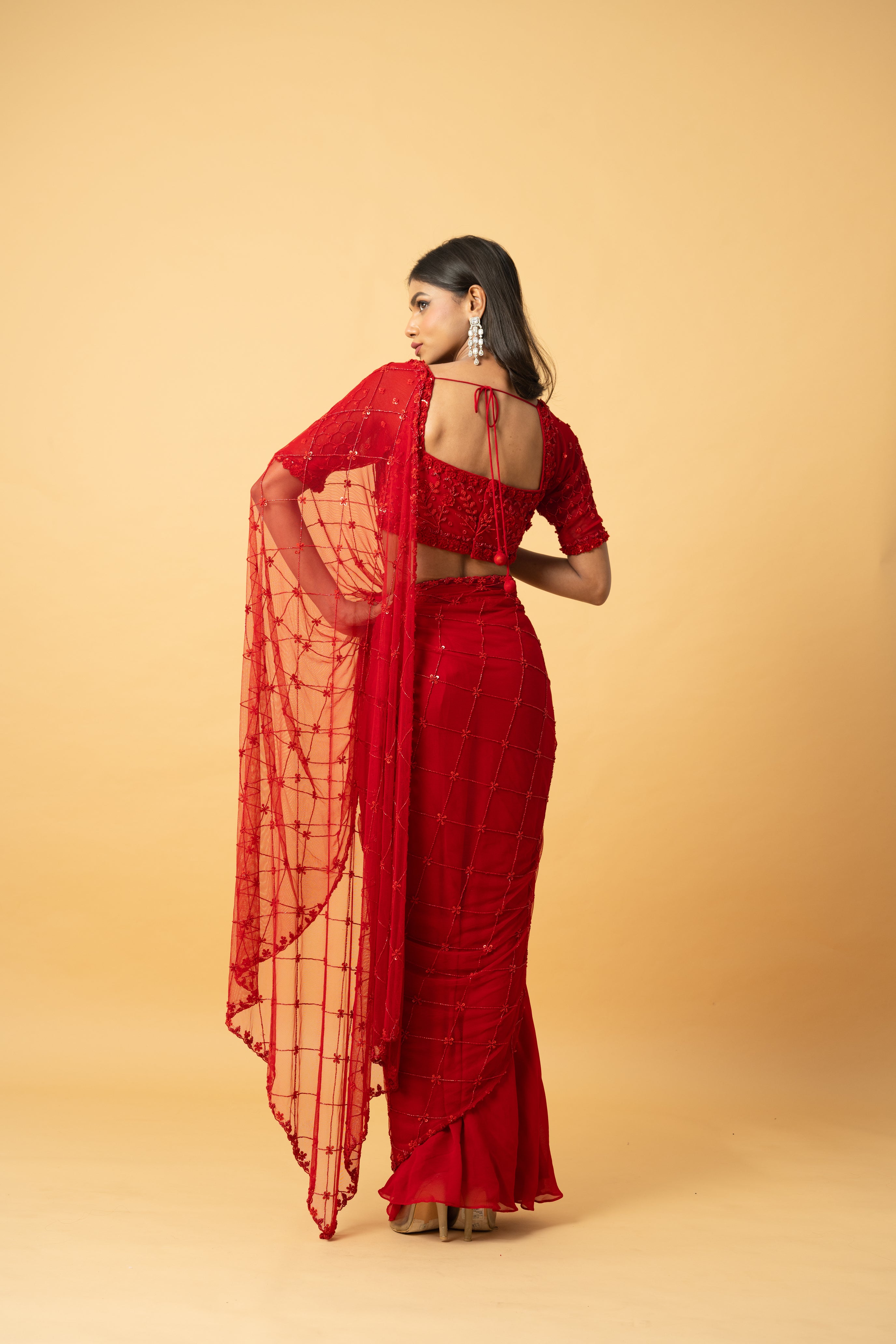 Red soft net and georgette saree with intricate hand embroidery.